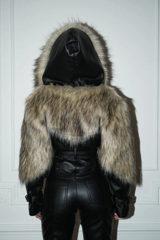 CAMPERA Suipacha #preorder
